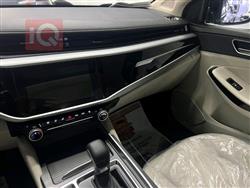 شيري أريزو 5